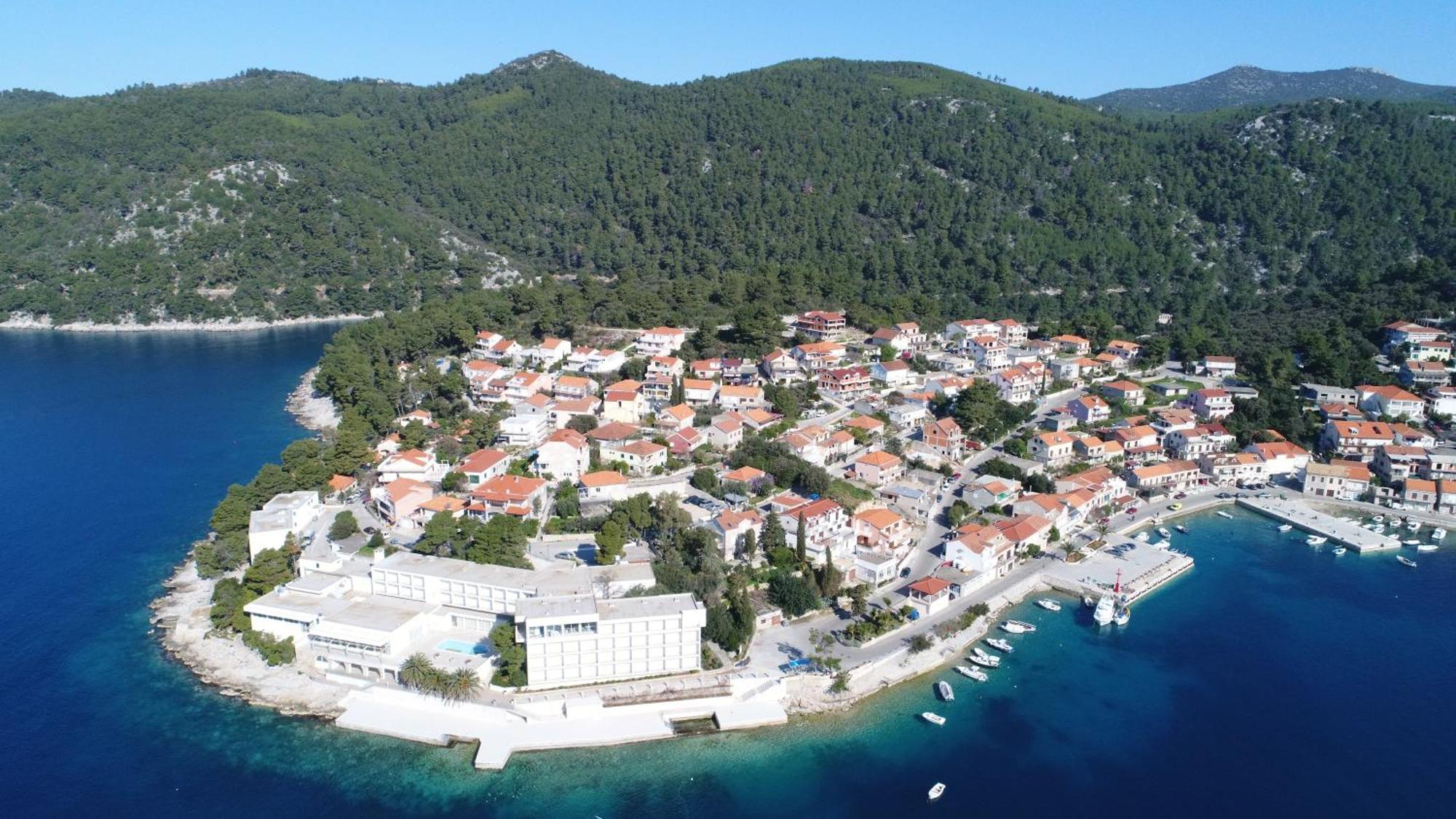 Apartments Peselj Smokvica  Pokój zdjęcie